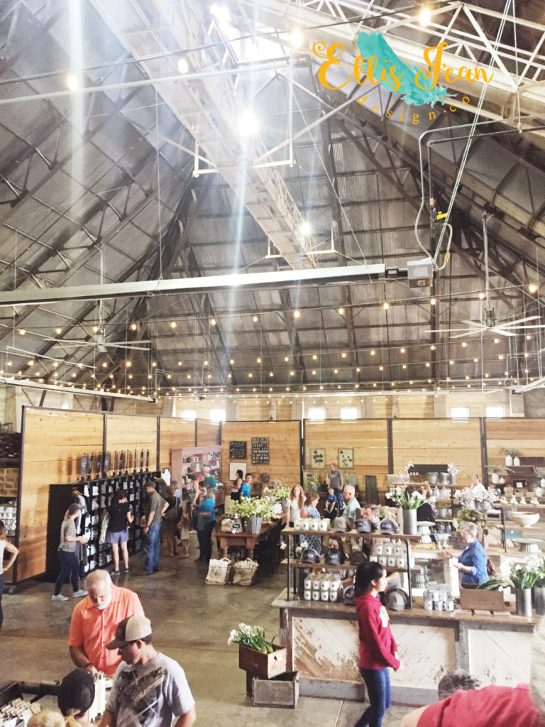magnolia market 28