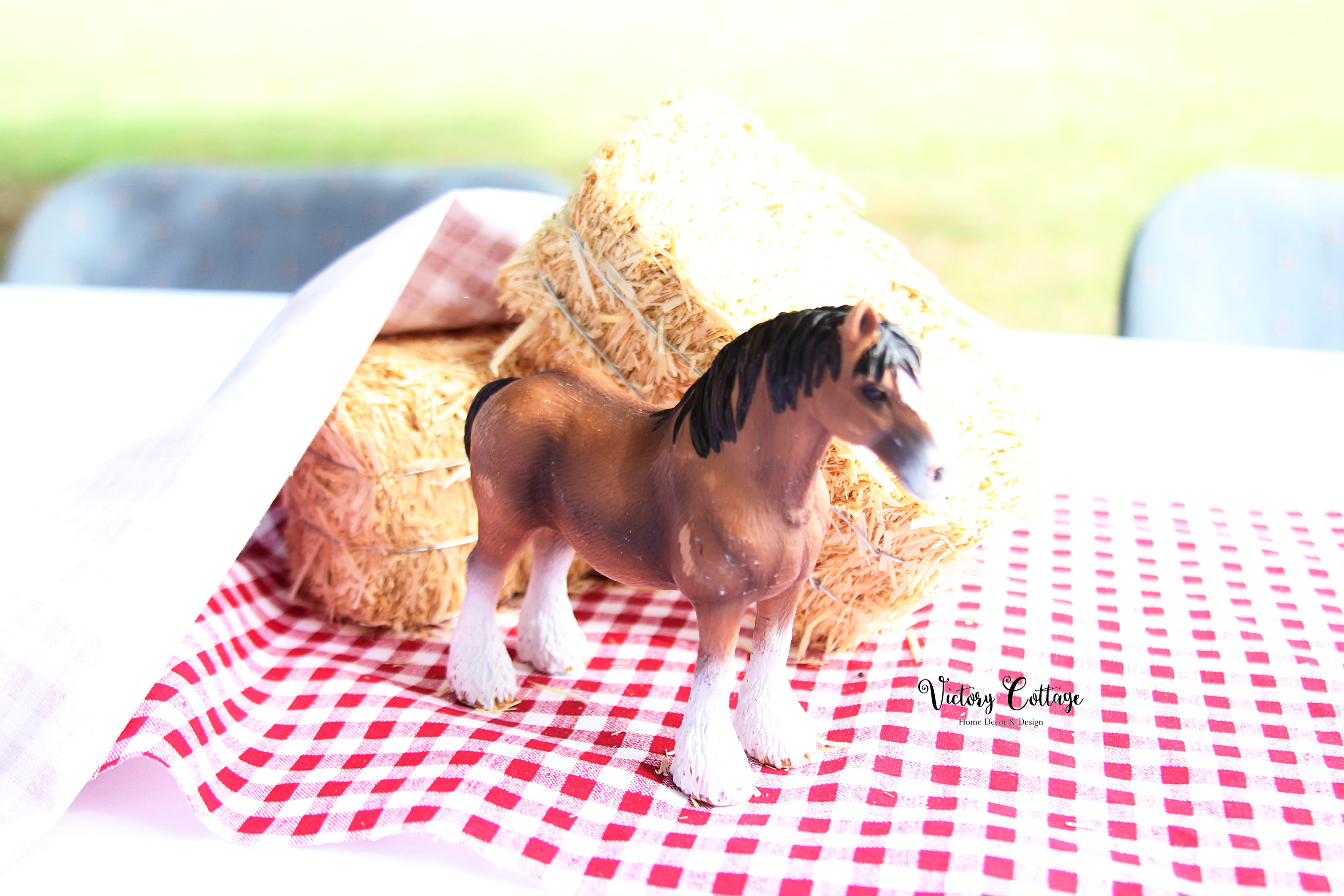 Harrison & Lyla's 5th Birthday Farm Party: Down on the Farm