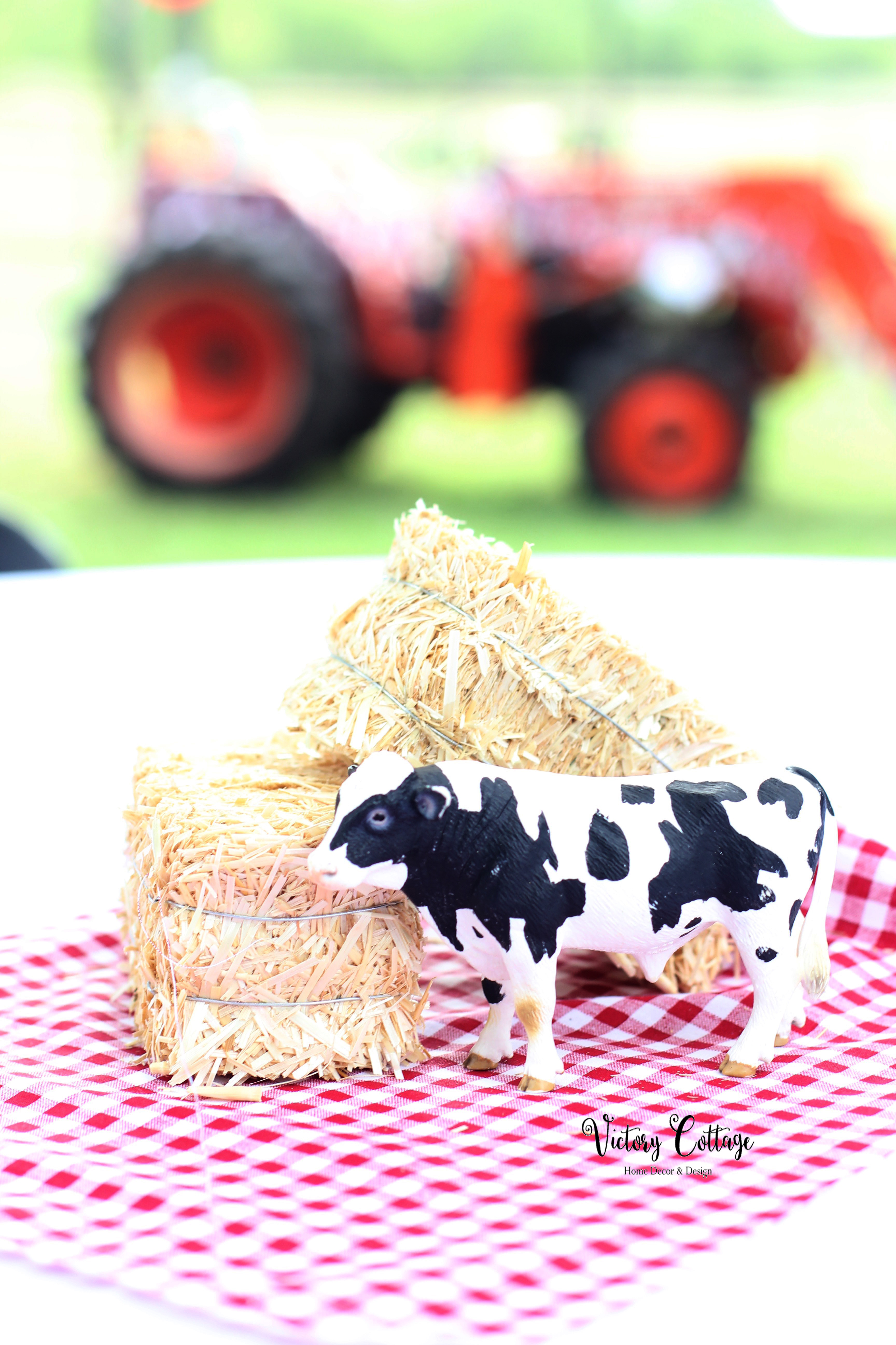 Harrison and Lyla's 5th Birthday Farm Party: Down on the Farm