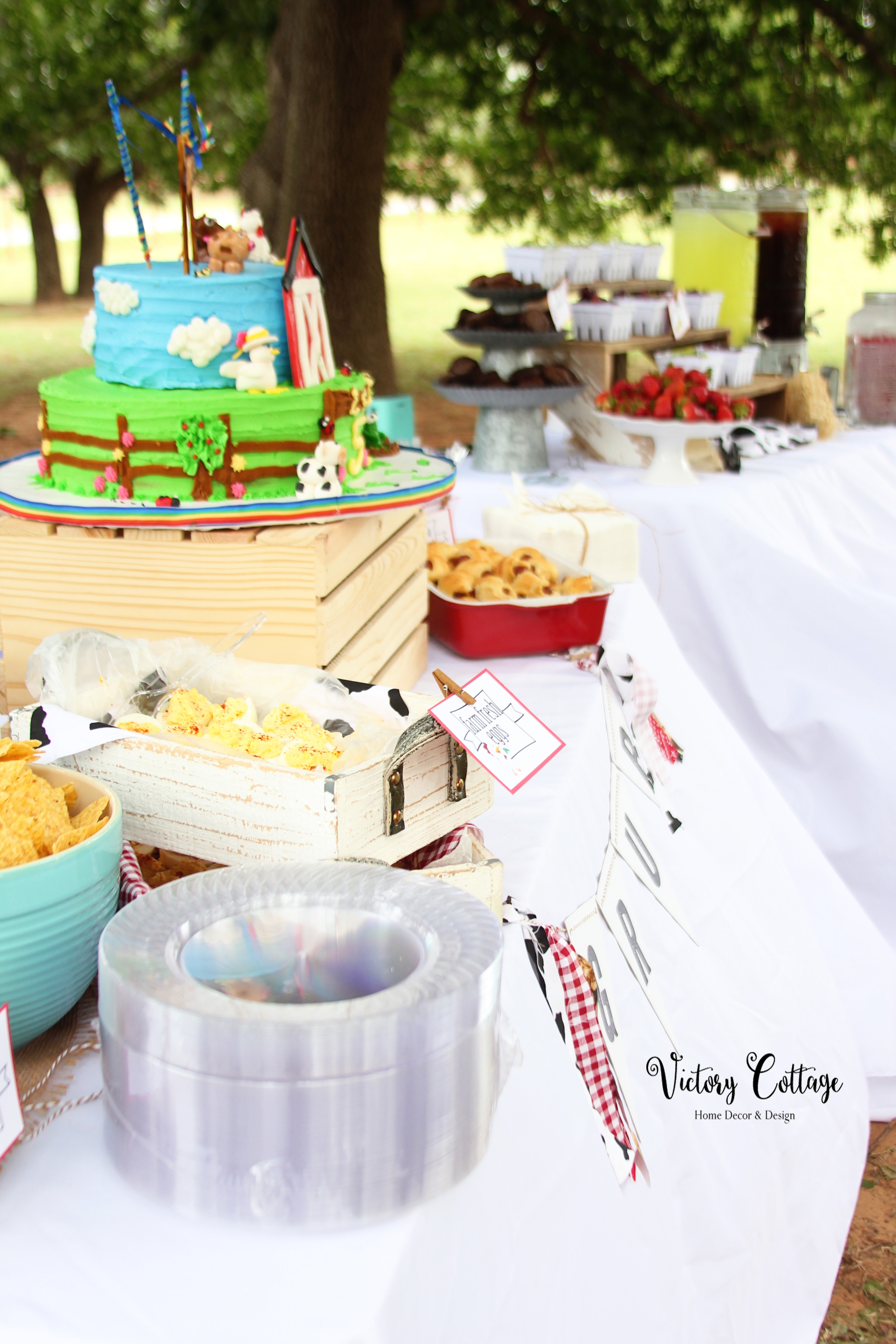 Harrison and Lyla's 5th Birthday Farm Party: Down on the Farm