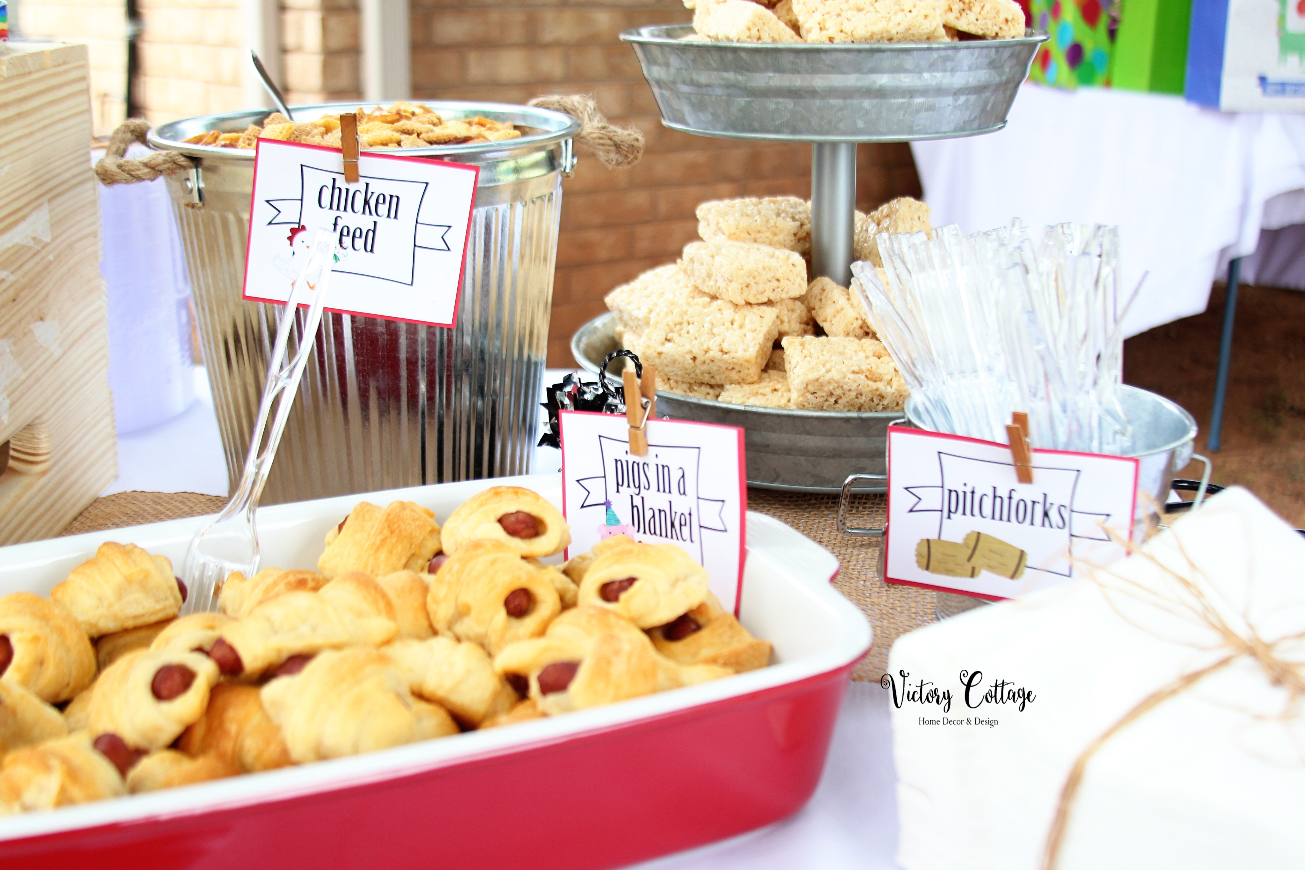 Harrison and Lyla's 5th Birthday Farm Party: Down on the Farm