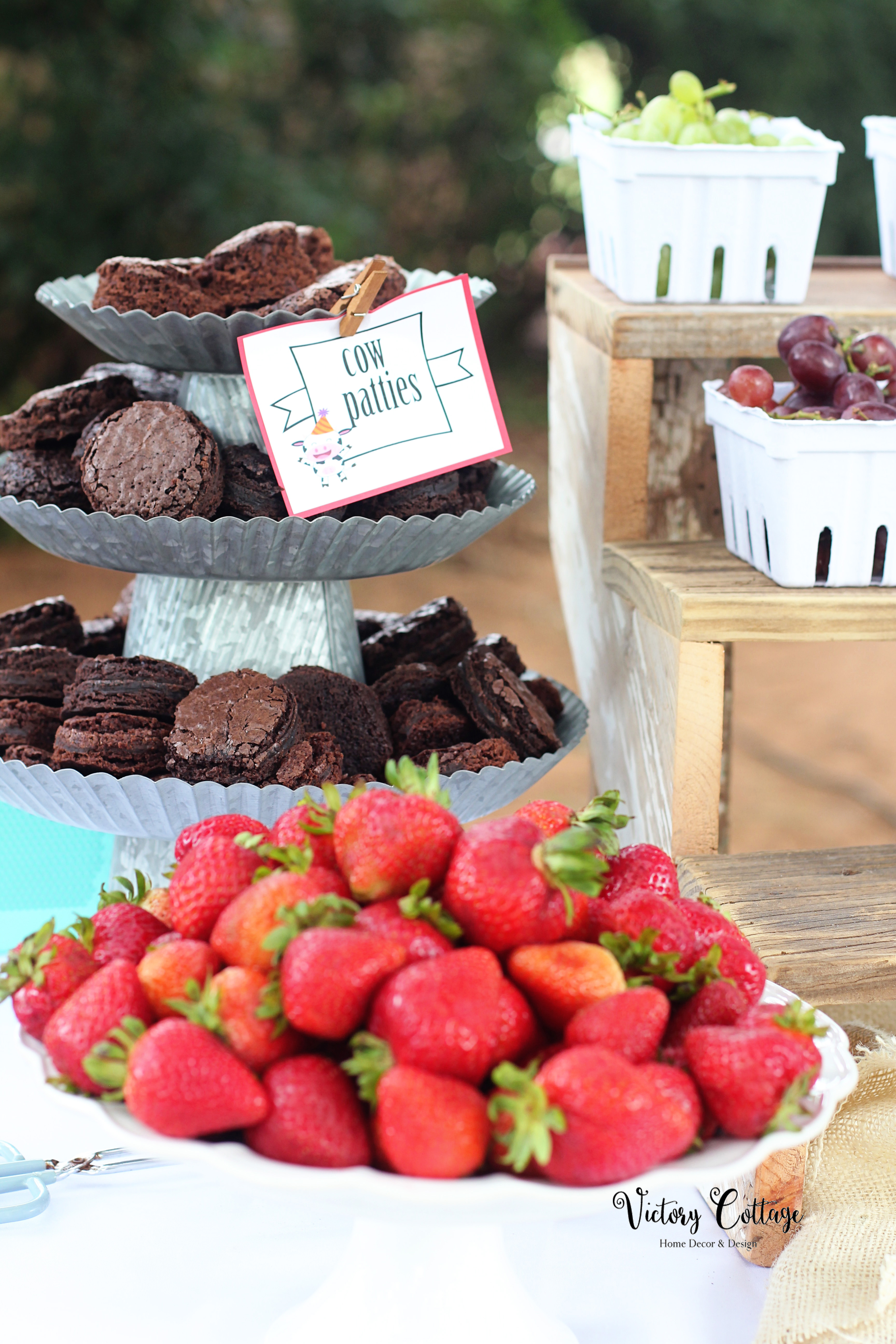 Harrison and Lyla's 5th Birthday Farm Party: Down on the Farm