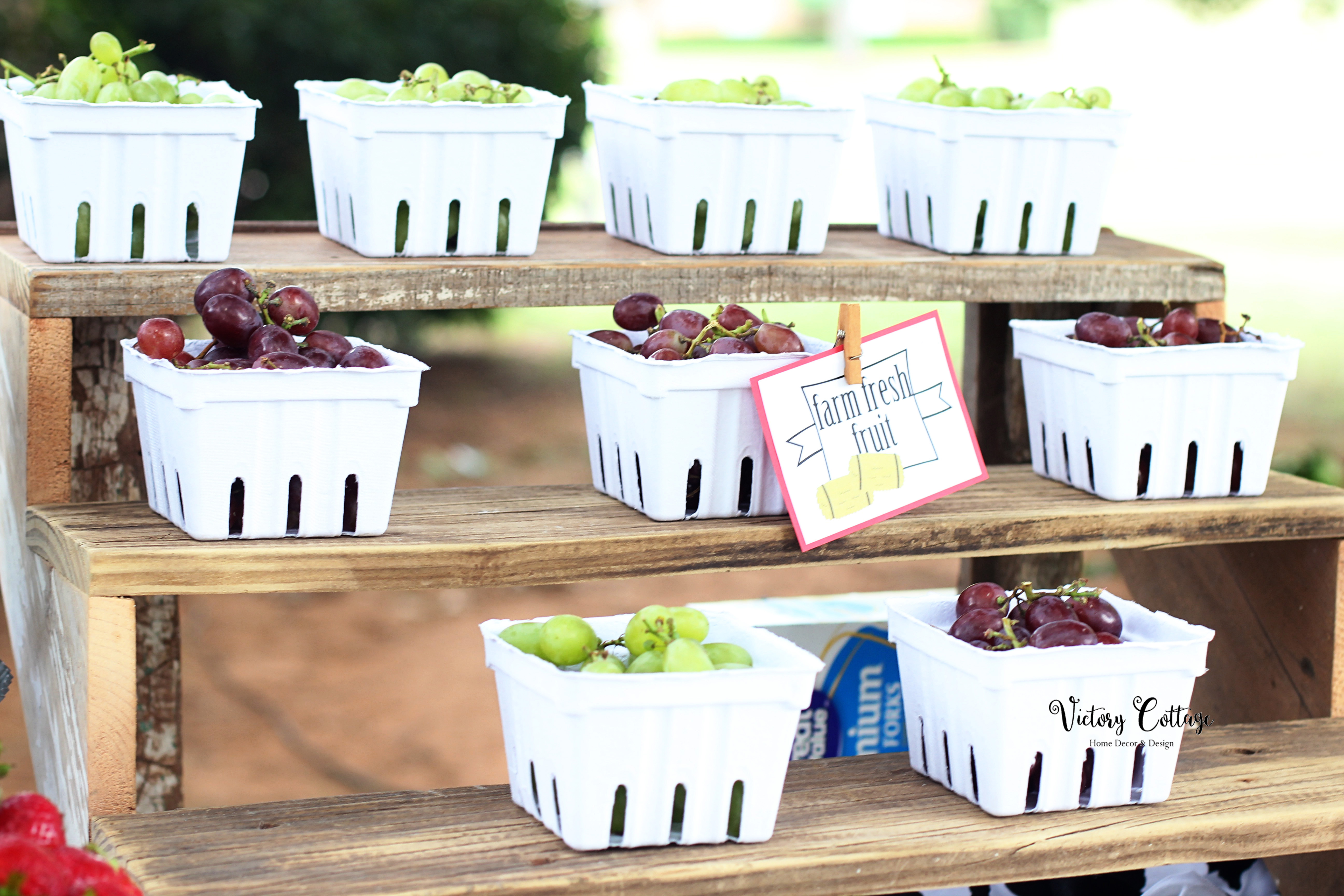 Harrison and Lyla's 5th Birthday Farm Party: Down on the Farm