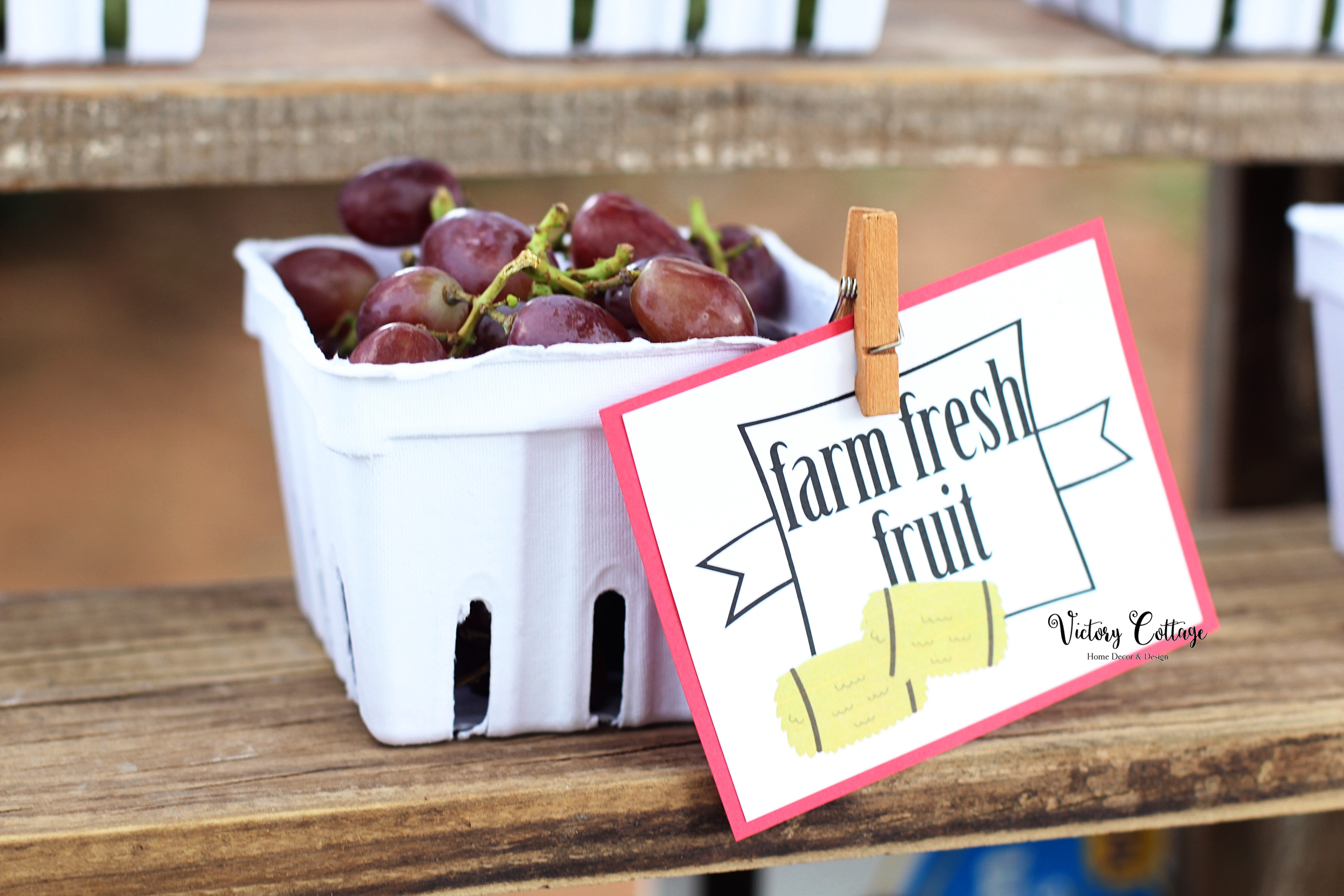 Harrison and Lyla's 5th Birthday Farm Party: Down on the Farm