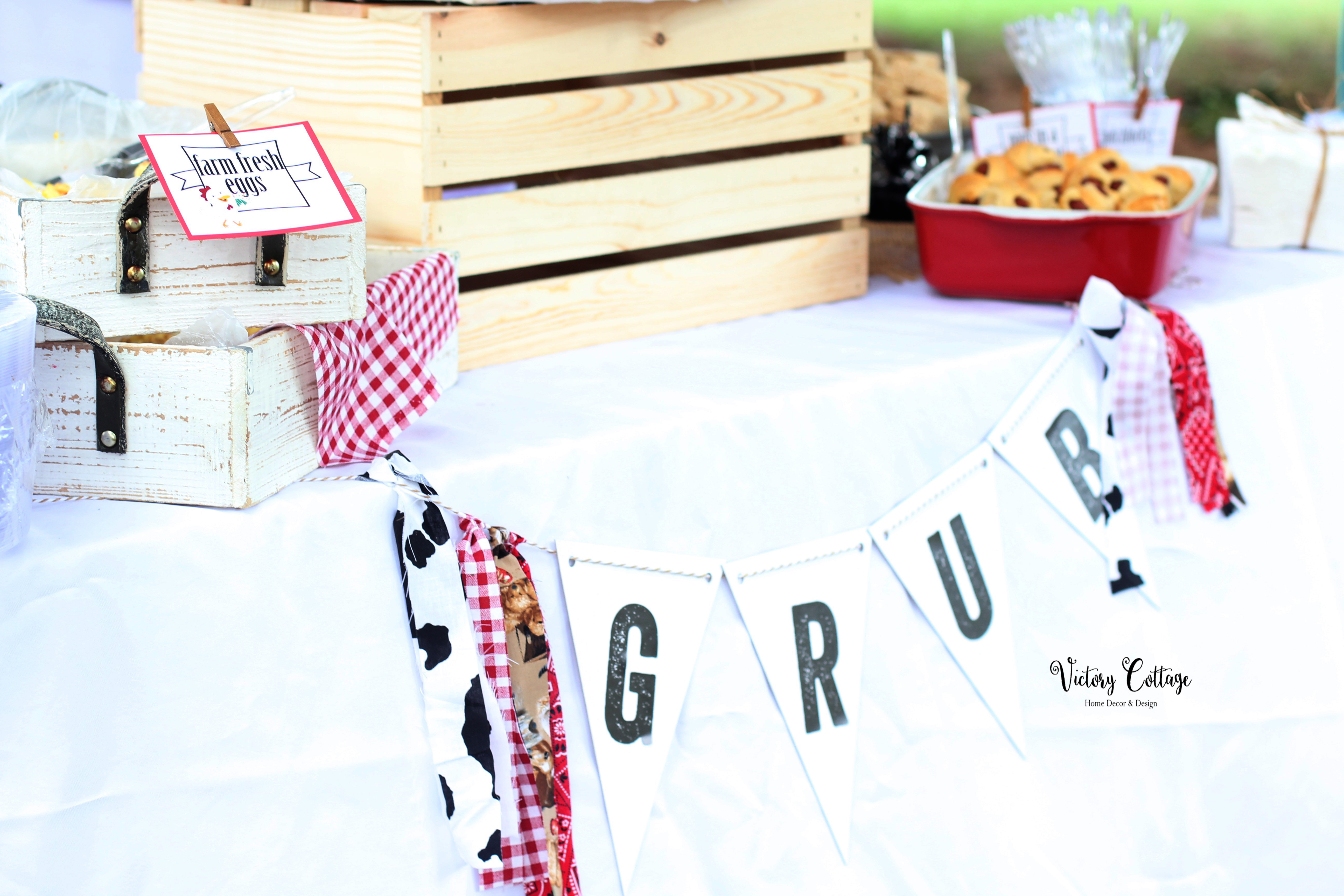 Harrison and Lyla's 5th Birthday Farm Party: Down on the Farm