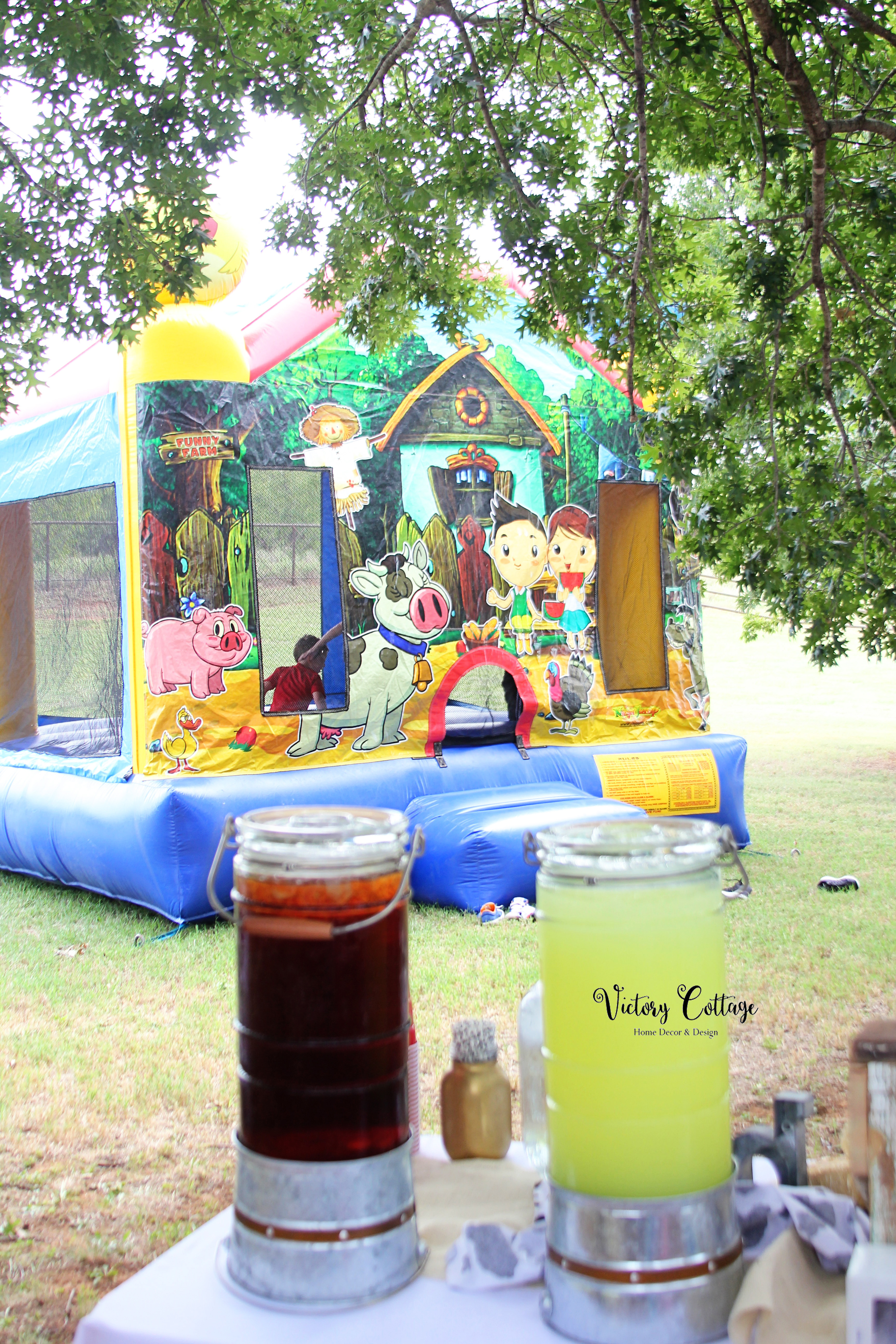 Harrison and Lyla's 5th Birthday Farm Party: Down on the Farm