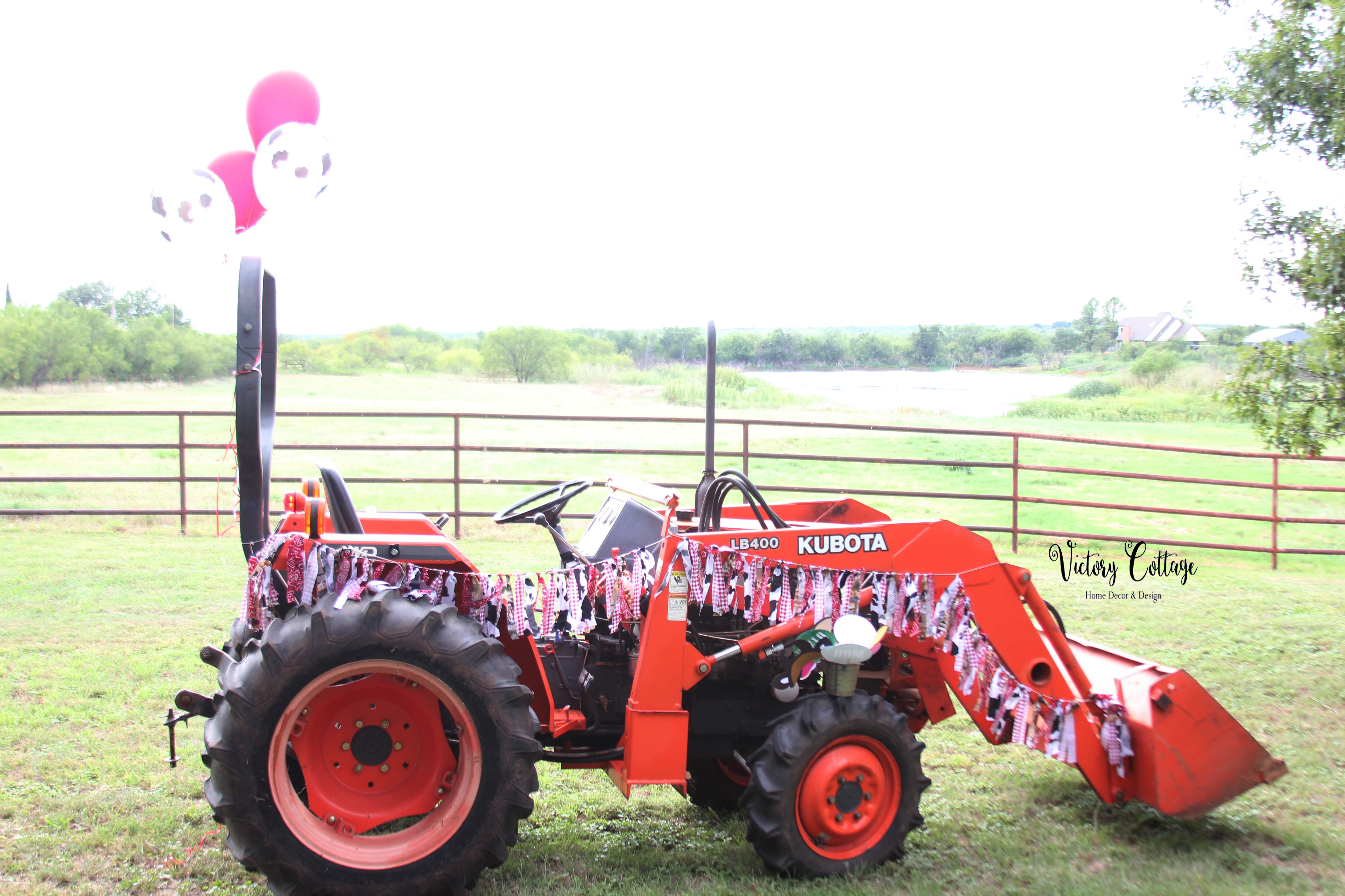 Harrison and Lyla's 5th Birthday Farm Party: Down on the Farm