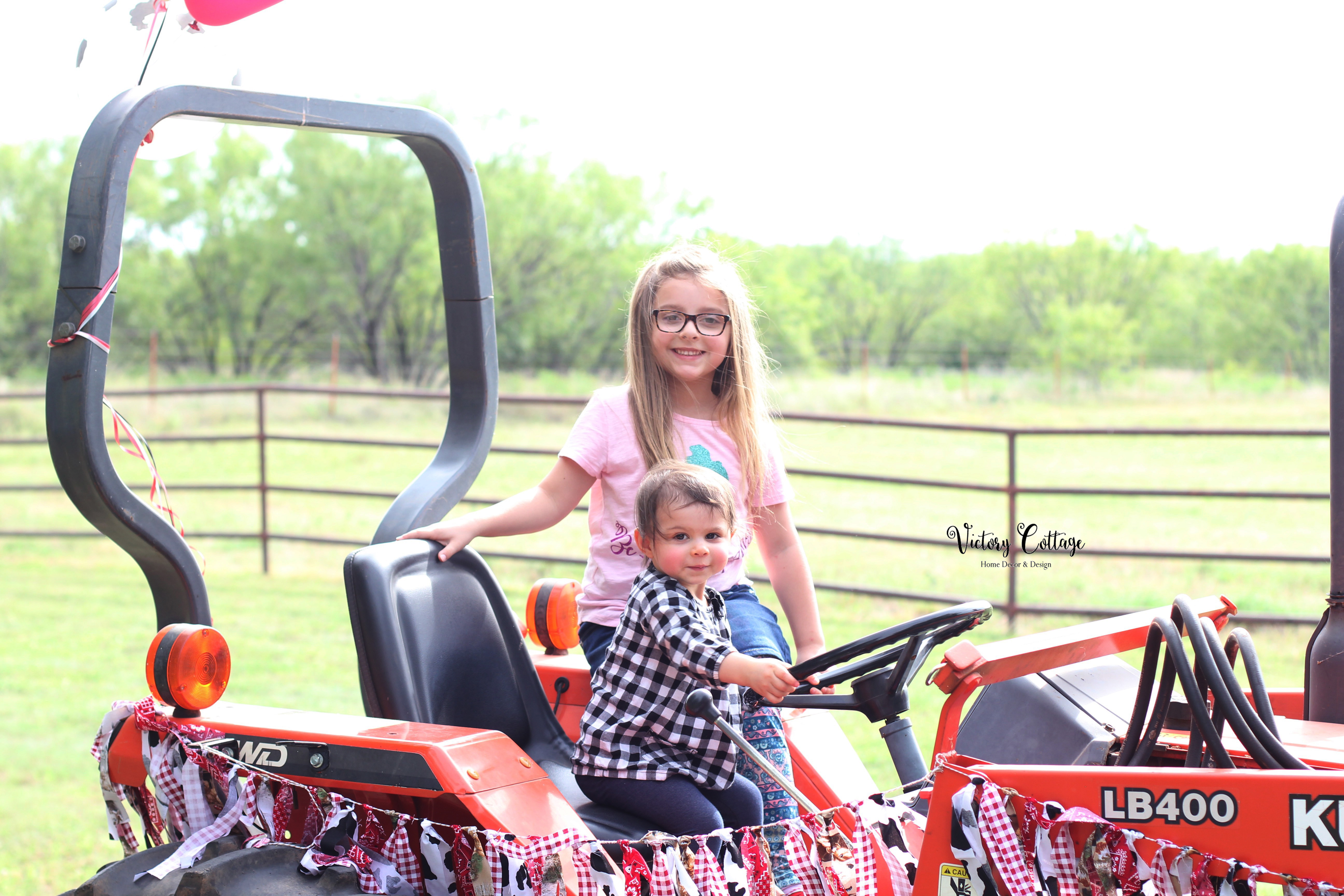 Harrison and Lyla's 5th Birthday Farm Party: Down on the Farm