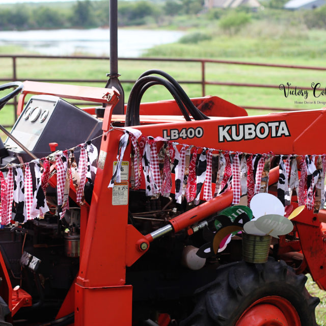 Harrison and Lyla’s 5th Birthday Farm Party: Down on the Farm