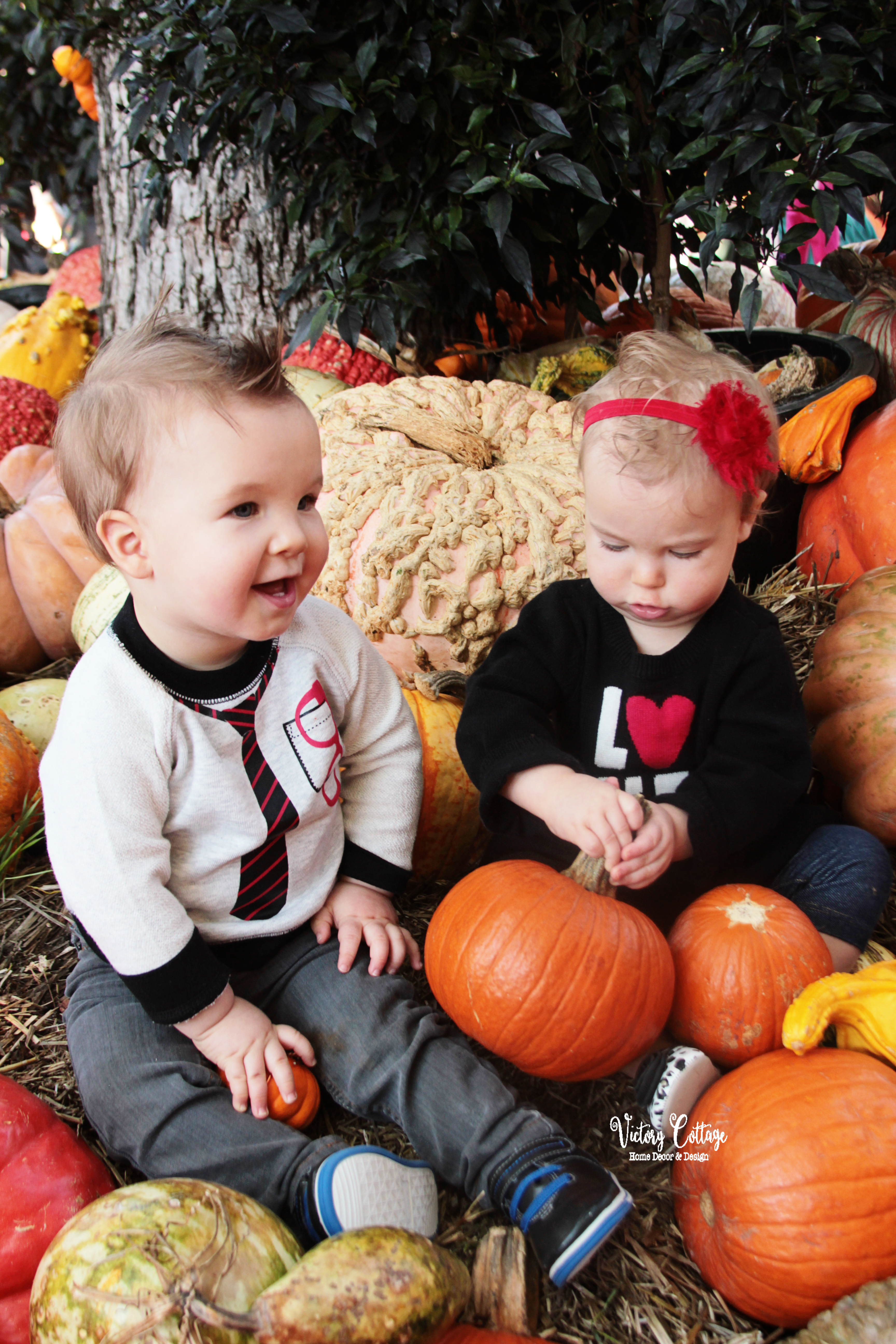Harrison and Lyla at The Dallas Arboretum Fall Pumpkin Display
