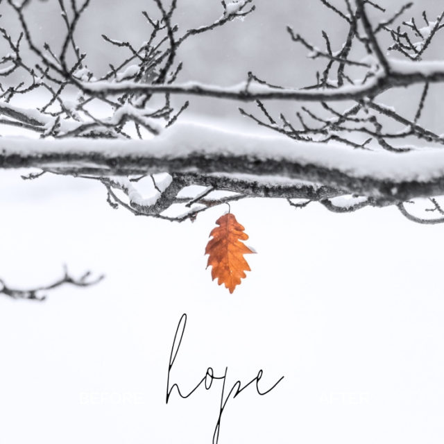 My “Word” for the New Year