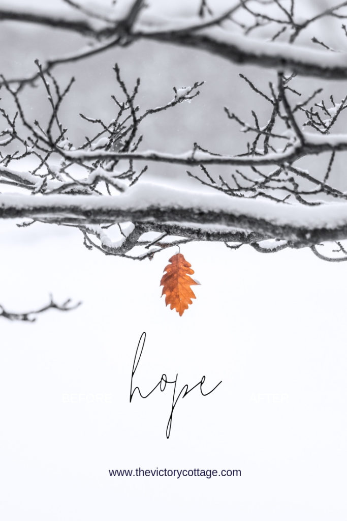 Word for the New Year - Hope