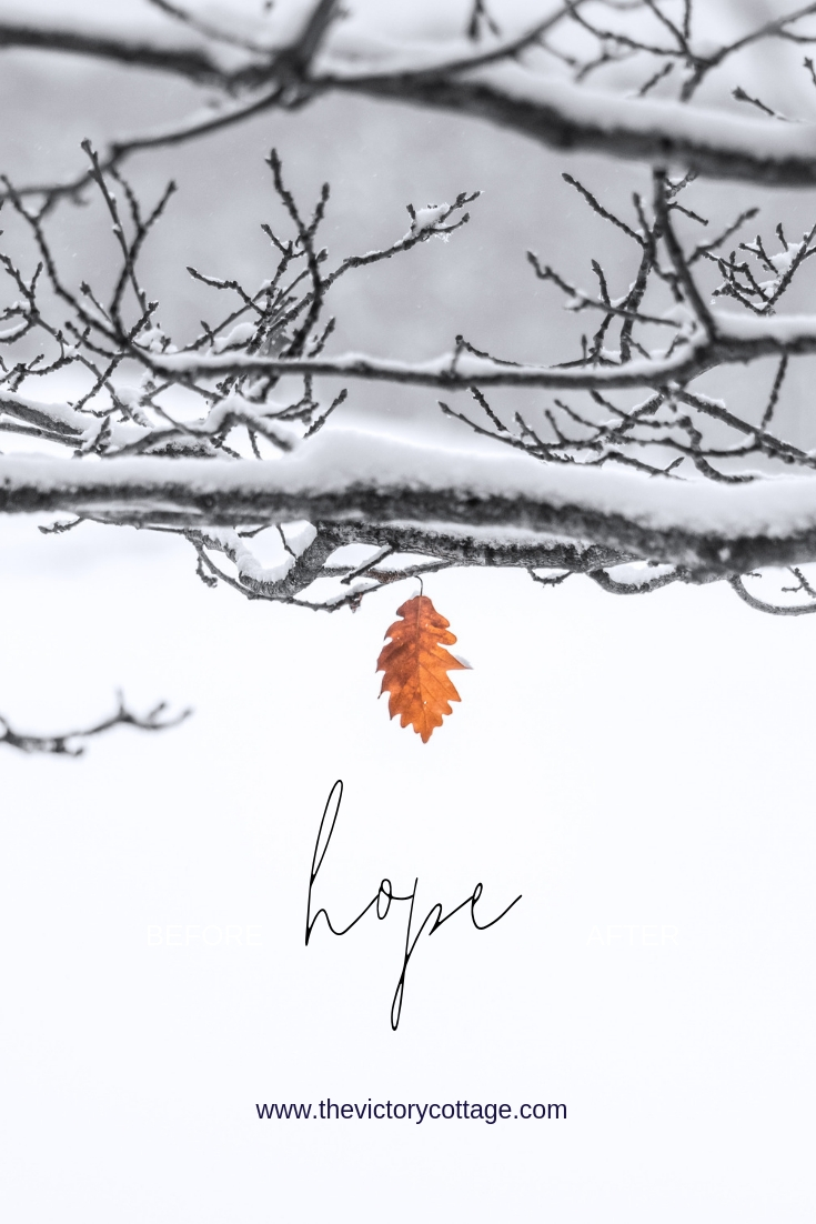 My “Word” for the New Year