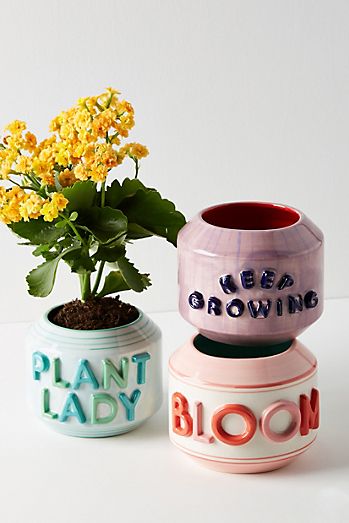 Cute Planters for Your Indoor Plants